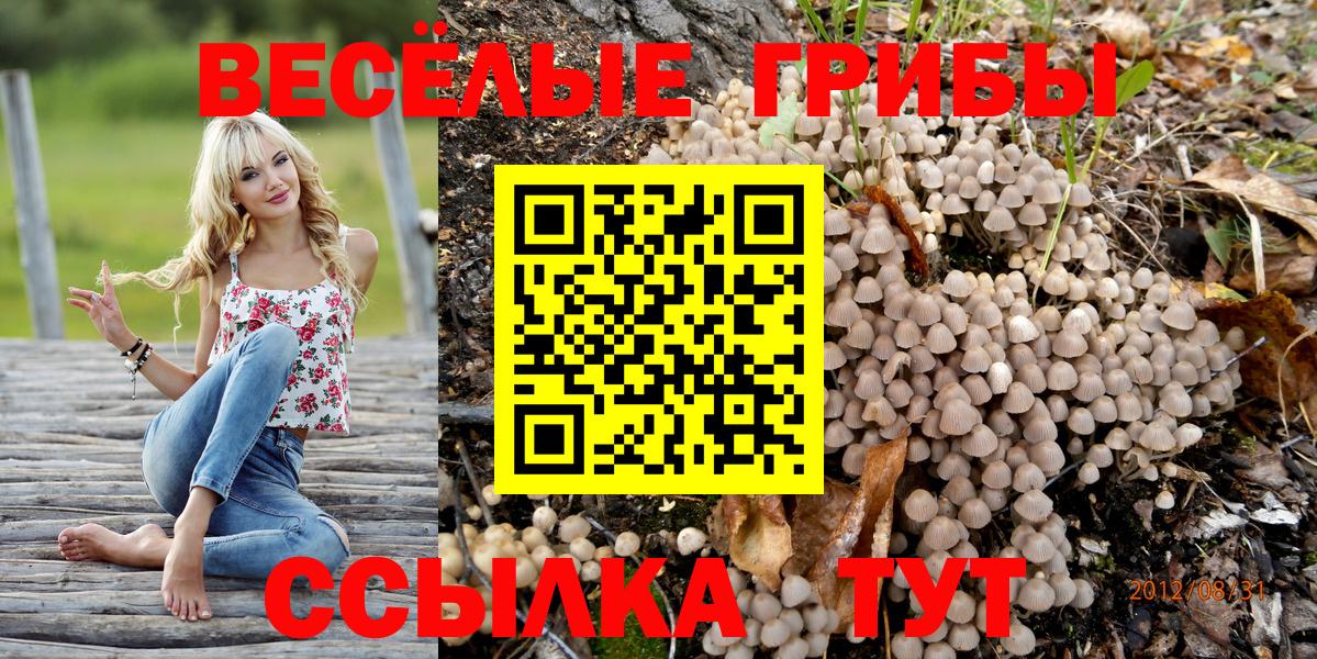 Галлюциногенные грибы ЛСД  купить  сайты  Вход с VPN  Димитровград  Галлюциногенные грибы ЛСД 